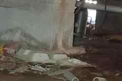 Bed-Bug-Extermination-Kingwood