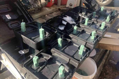 Exterminator-HumbleTX