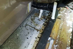 Pest-Control-New-Caney-Texas