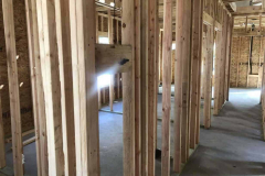 Rodent-Control-New-CaneyTX