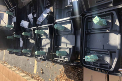 Termite-Control-Cleveland-TX