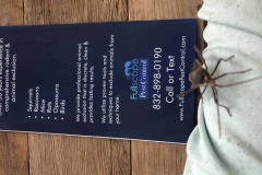 Termite-Control-Conroe