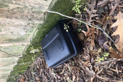 Termite-Control-Kingwood