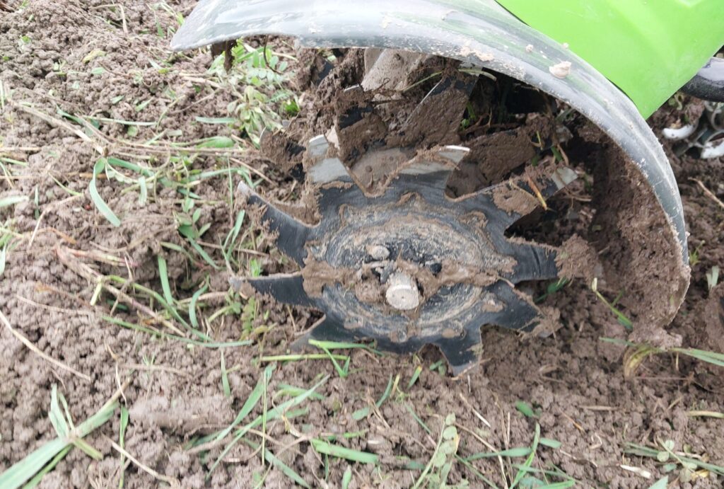 Core Aeration Scaled